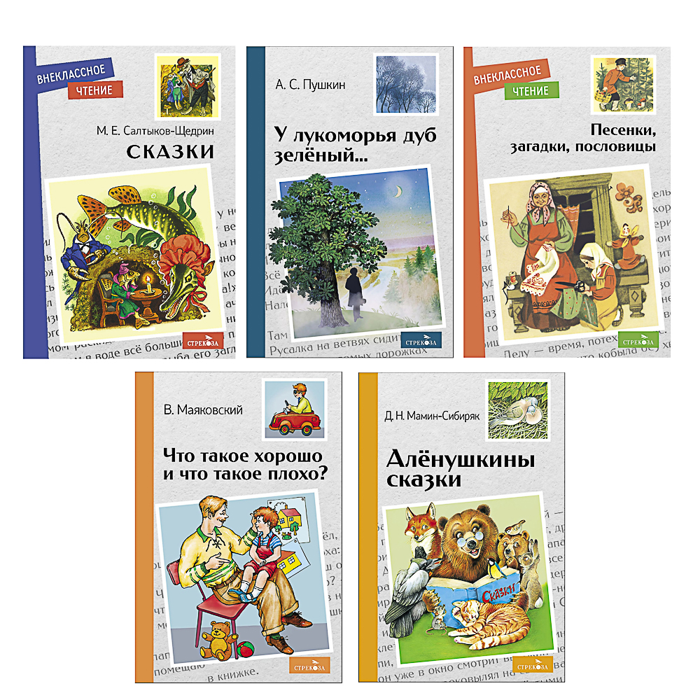 Книжка "Внеклассное чтение", мягкий переплет, 13,8х21см, 60-80 стр. (5/50)